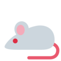 🐁