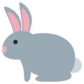 rabbit on platform Twitter