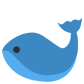 whale on platform Twitter