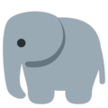 elephant on platform Twitter