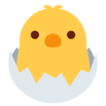 hatching chick on platform Twitter