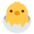 🐣