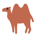 two-hump camel on platform Twitter