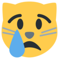 crying cat on platform Twitter