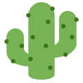 🌵