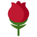 rose on platform Twitter