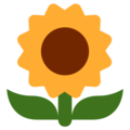 sunflower on platform Twitter