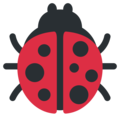 ladybug on platform Twitter