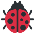 🐞