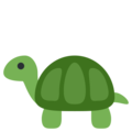 turtle on platform Twitter