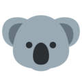 koala on platform Twitter
