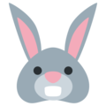 rabbit on platform Twitter