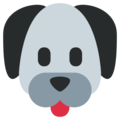 dog face on platform Twitter