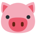 pig on platform Twitter