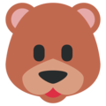 bear on platform Twitter