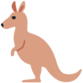 kangaroo on platform Twitter
