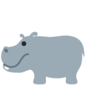 hippopotamus on platform Twitter