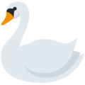 swan on platform Twitter
