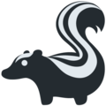skunk on platform Twitter