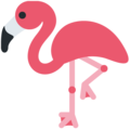flamingo on platform Twitter