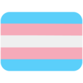 transgender flag on platform Twitter