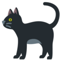black cat on platform Twitter