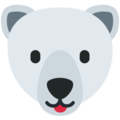 polar bear on platform Twitter