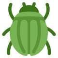 beetle on platform Twitter