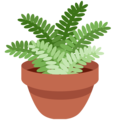 potted plant on platform Twitter