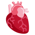 anatomical heart on platform Twitter
