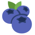 blueberries on platform Twitter