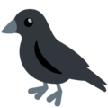 black bird on platform Twitter