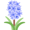 hyacinth on platform Twitter