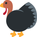 turkey on platform Twitter