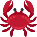 crab on platform Twitter