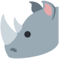 rhinoceros on platform Twitter