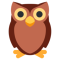 owl on platform Twitter