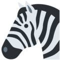zebra on platform Twitter