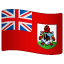 flag: Bermuda on platform Whatsapp