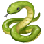 snake on platform Whatsapp