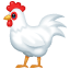 rooster on platform Whatsapp