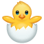 hatching chick on platform Whatsapp