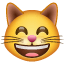 grinning cat with smiling eyes on platform Whatsapp