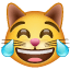 cat with tears of joy on platform Whatsapp
