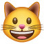 grinning cat on platform Whatsapp