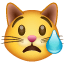 crying cat on platform Whatsapp