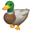 duck on platform Whatsapp