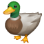 🦆