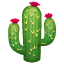 cactus on platform Whatsapp