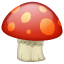 mushroom on platform Whatsapp